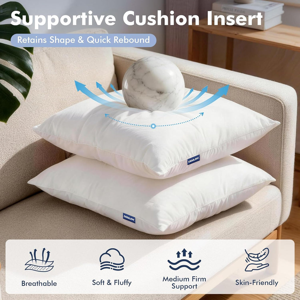 22x22 Pillow Inserts Down Feather Throw Pillows for Couch - Set of 2