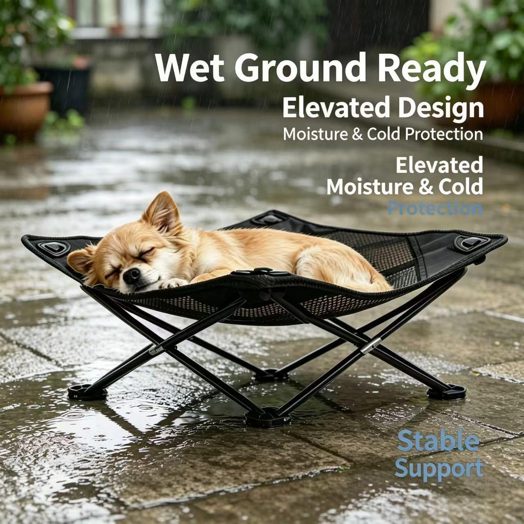 Foldable Cooling Elevated Cat Bed for Small Dogs Puppies & Kitties, 19x19 Inch, Breathable Mesh Raised Pet Cot