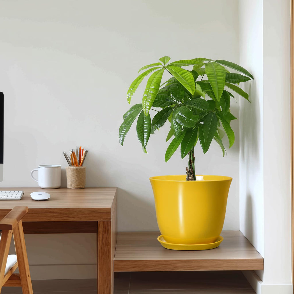 Ceramic Planter, 10 Inch Plant Pot for Indoor, Yellow