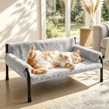 Elevated Cat Couch Bed for Indoor Cats, Sturdy Metal Frame Cat Sofa