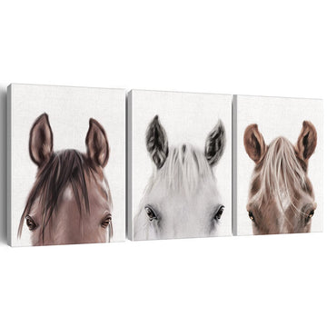 Set of 3 Horse Pictures Wall Art Decor Framed (11.5x15 Inch)