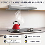 30 Inch Stainless Steel Under Cabinet Range Hood 900 CFM 4 Speed Gesture & Touch Control, LED Lights, Baffle Filters