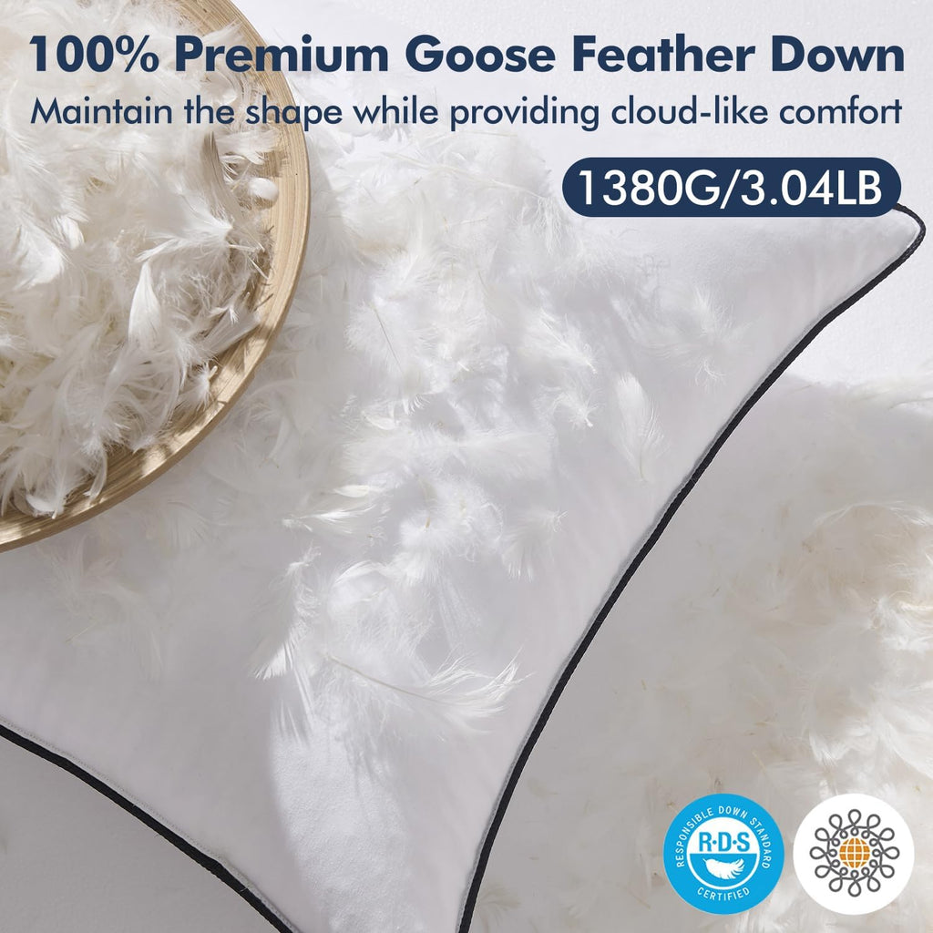 Goose Feather Down 22x22 Pillow Insert with 100% Down-Proof Cotton Cover, Soft Fluffy Decorative Pillow - Set of 2