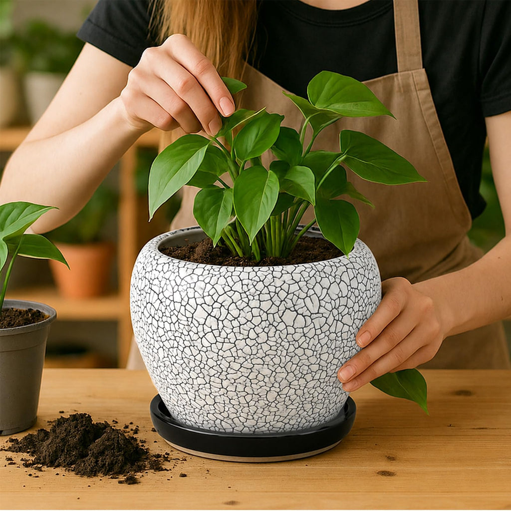 8 Inch Plant Pots- Ceramic Pots for Plants with Drainage Hole and Saucer, Large Planter Pot for Indoor Plants Outdoor