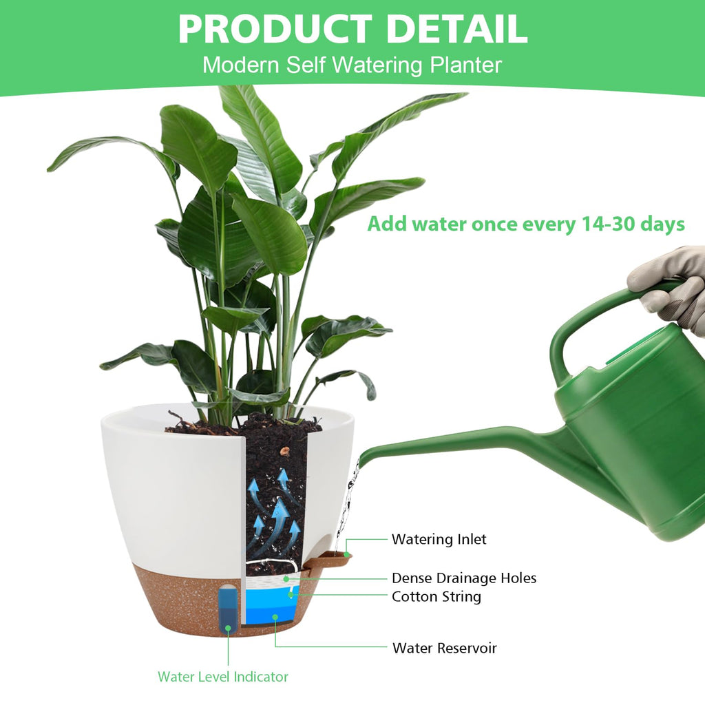 Self Watering Planter with Visual Water Level, 6Pack Small Plastic Pot Set with Drainage Holes and Reservoir Saucers