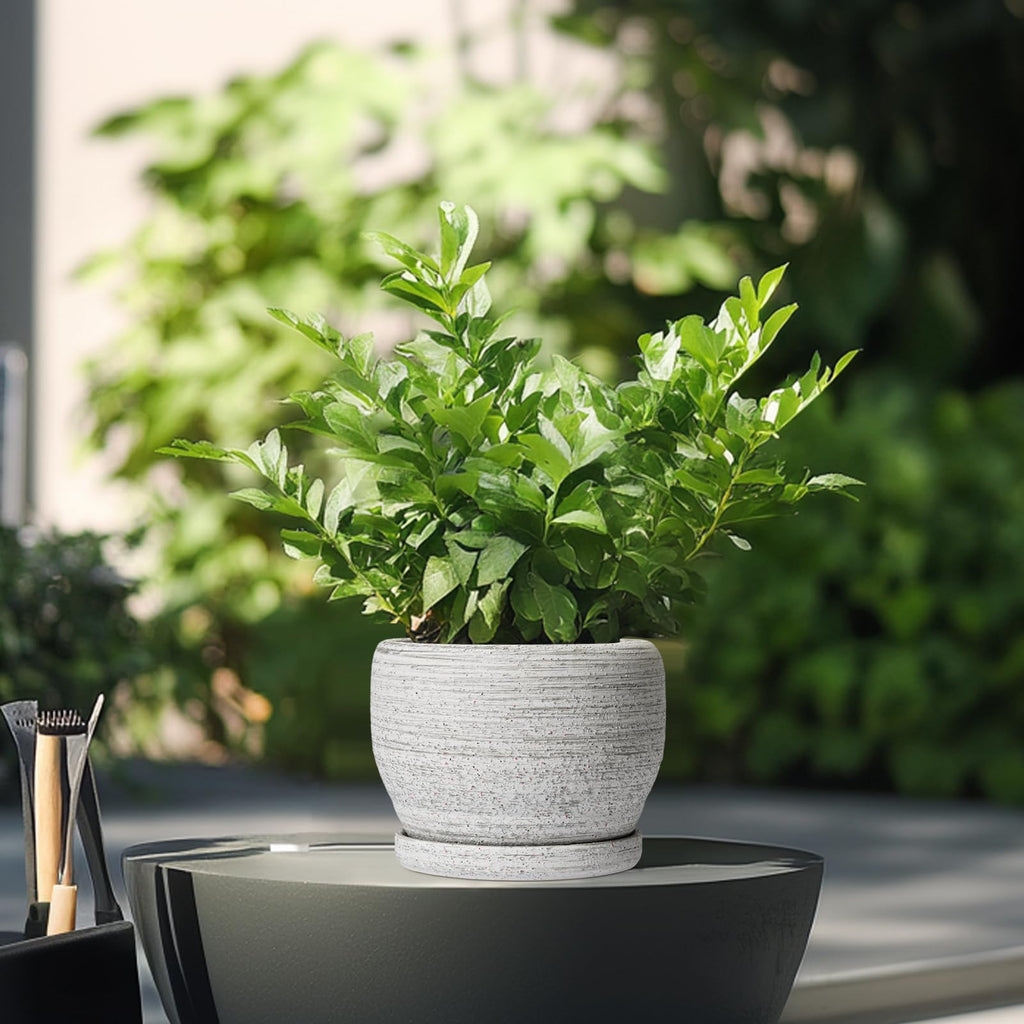Ceramic Planters for Indoor Plants - 6 Inch Plant Pot with Drainage Hole and Saucer, Small Ceramic Flower Pot, Round