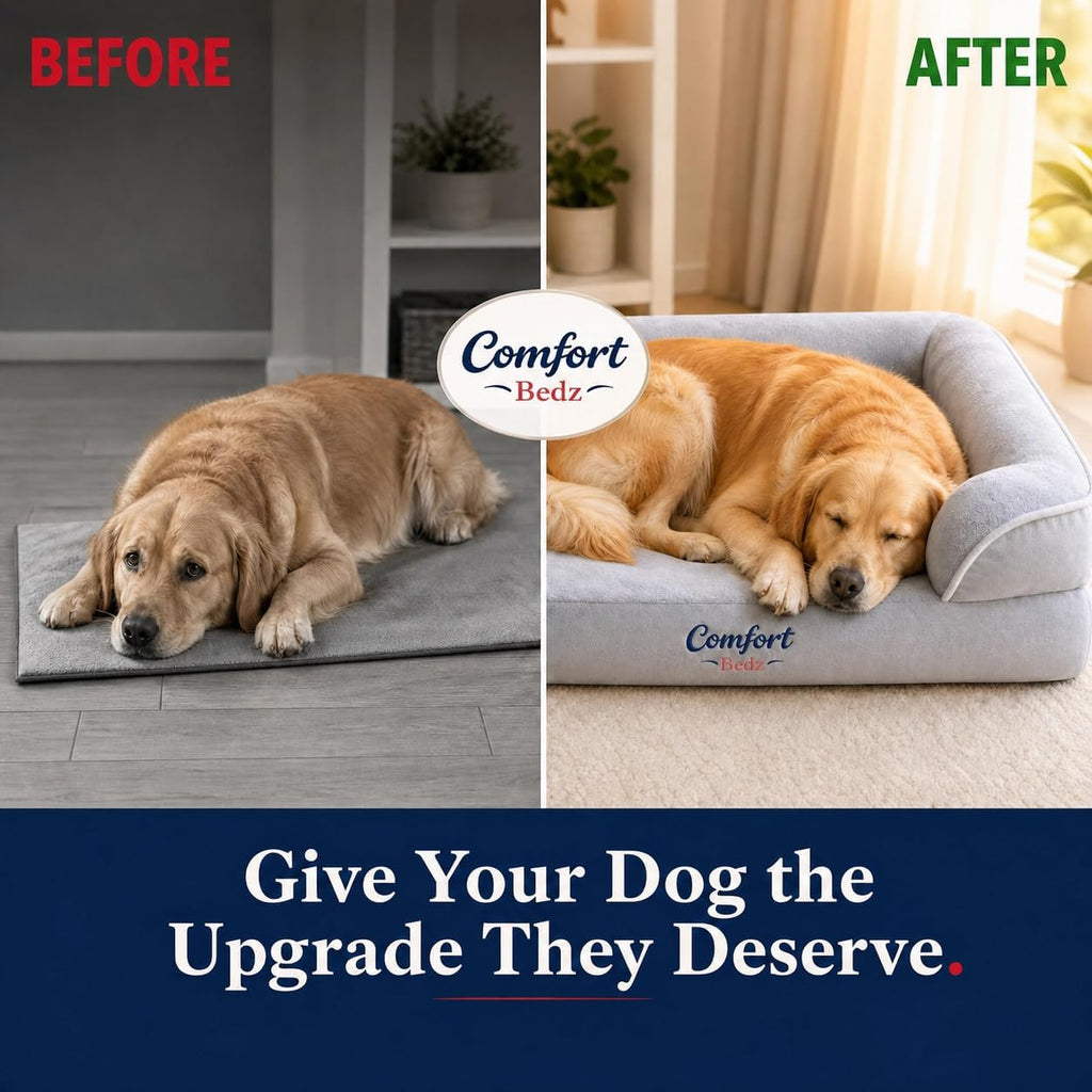 Orthopedic Dog Sofa Bed, Gray, Plush, Raised Bolsters, Supportive Foam, for Dogs (Large)