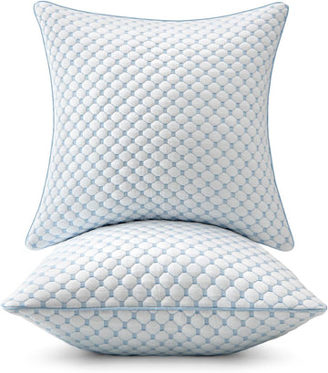 20x20 Decorative Pillow Inserts Memory Foam Filling - Set of 2
