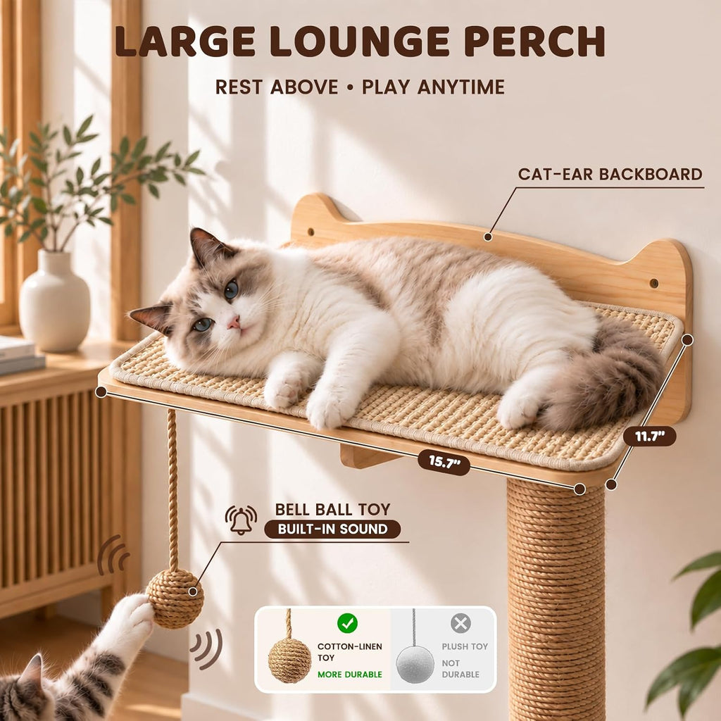 Cat Wall Shelves for Large Cats Wall Mounted Climbing Set