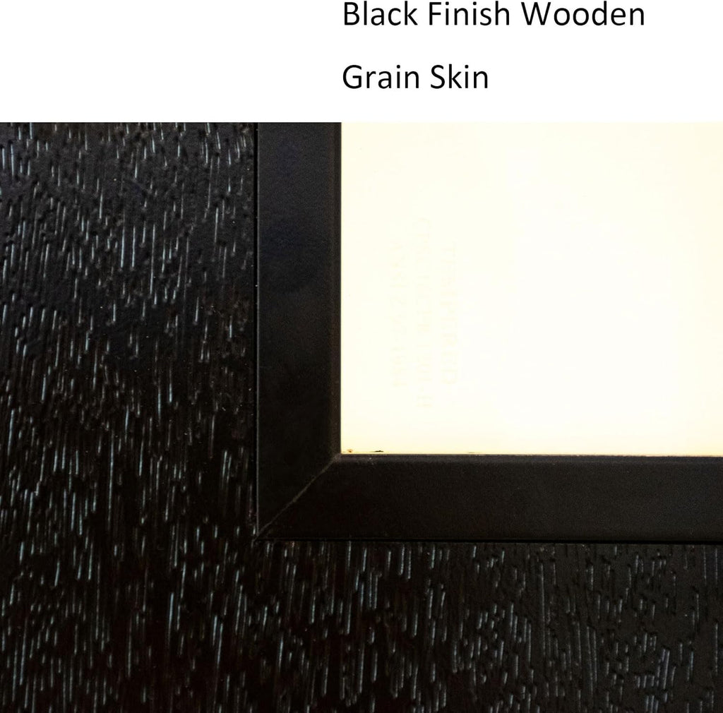 36" x 80" Fiberglass Front Entry Door, Frosted Glass, Wood Grain Black Finish, Solid Reinforced Core, Not Prehung