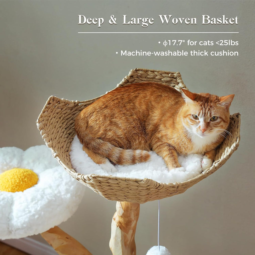 59" Modern Cat Tree, Natural Wood Cat Tower for Large Cats White