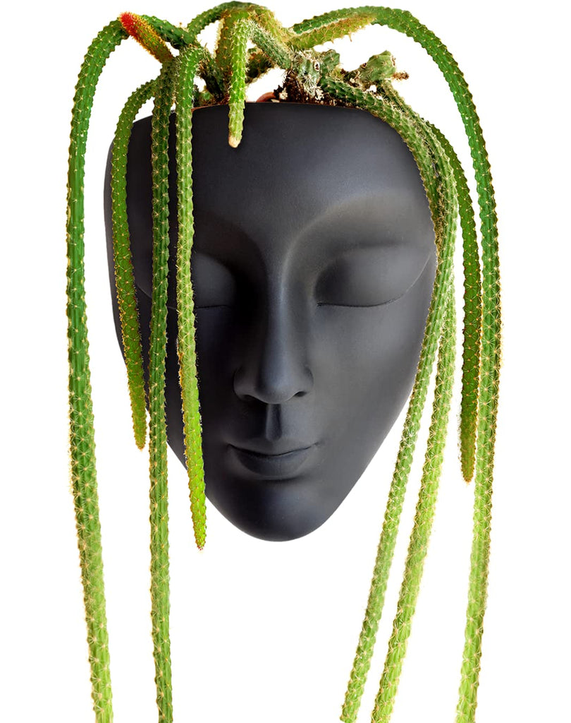 Face Planter, Wall-Mountable Vertical Planter with Drainage Hole, 6x5.25x3.5 inches, Concrete, Black, Modern Style