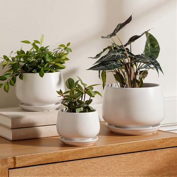 Ceramic Pots for Plant, 4.1+5.1+6.5 inch, Set of 3, White