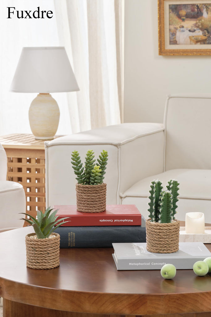 3-Pack Artificial Succulent Plants in Vintage Plastic Pots - Fake Waterproof Succulents Decor, Desk, Shelf - Low