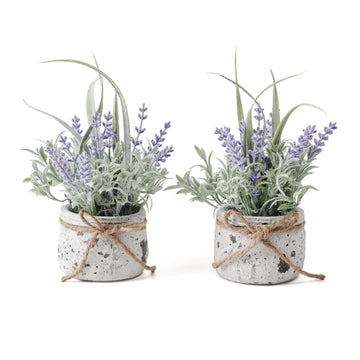 Small Fake Plants, 2 Pack Mini Artificial Plants Fake Lavender Plant in Pot, Lavender Decor and Dining Room Desk