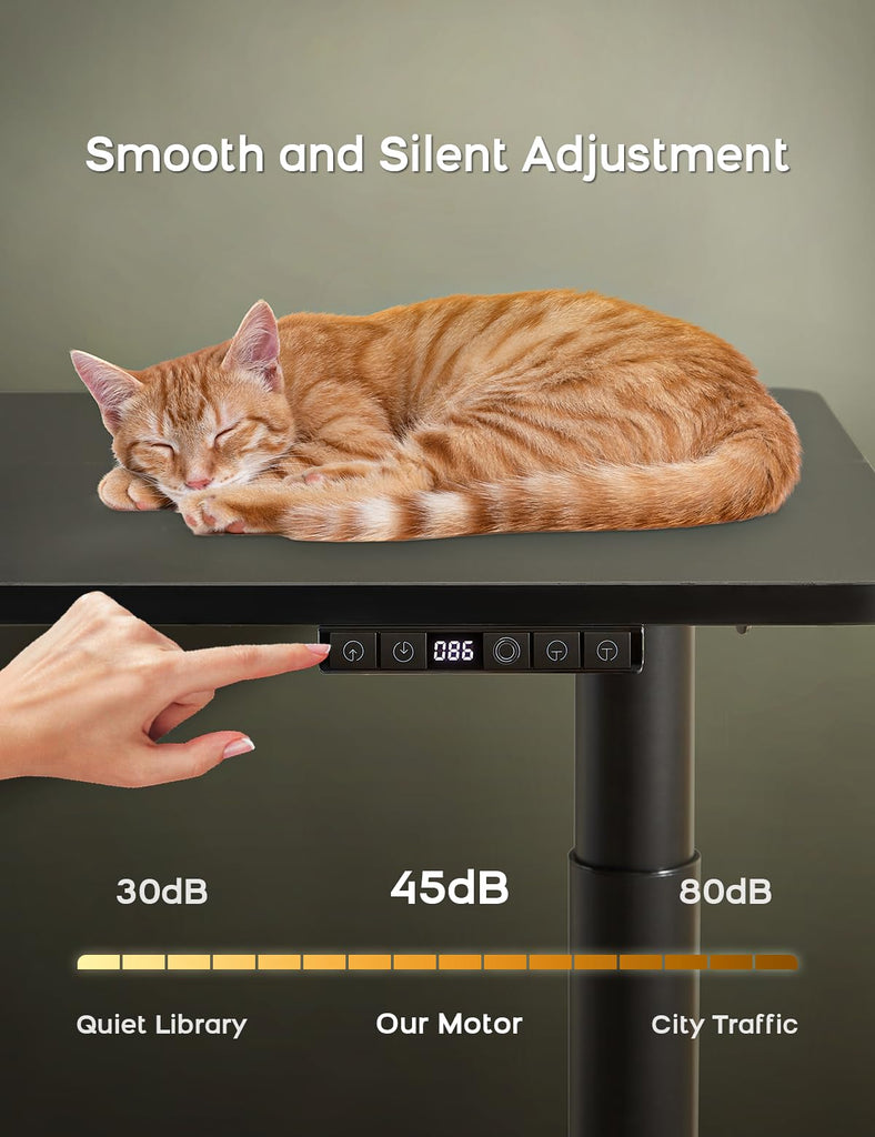 Electric Standing Desk, Height Adjustable Desk with Round Tube Legs, 48 x 24 Inches Memory Sit Stand up Desk, Home