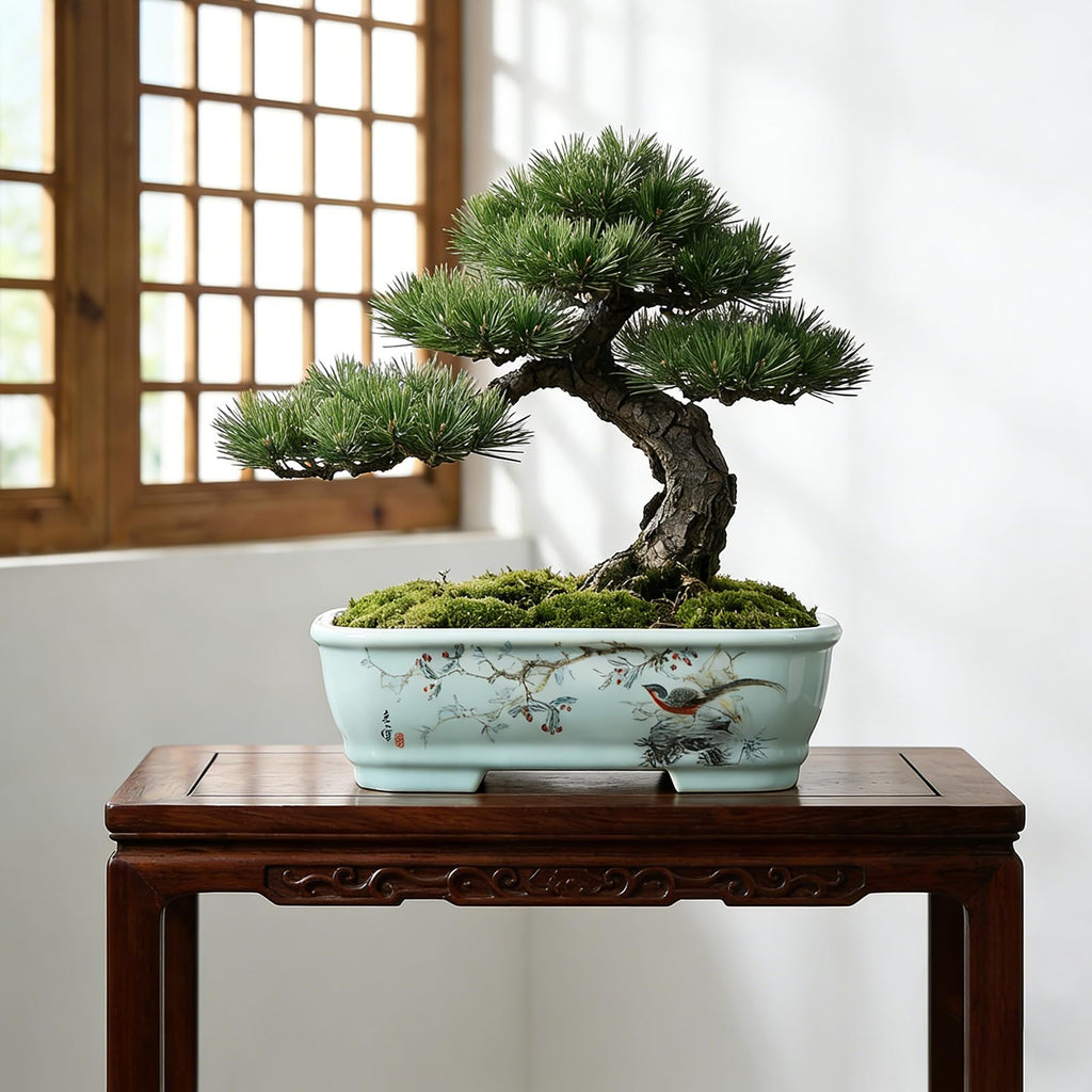 8" Bonsai Pots with Tray, Rectangular Planter in Blue & White