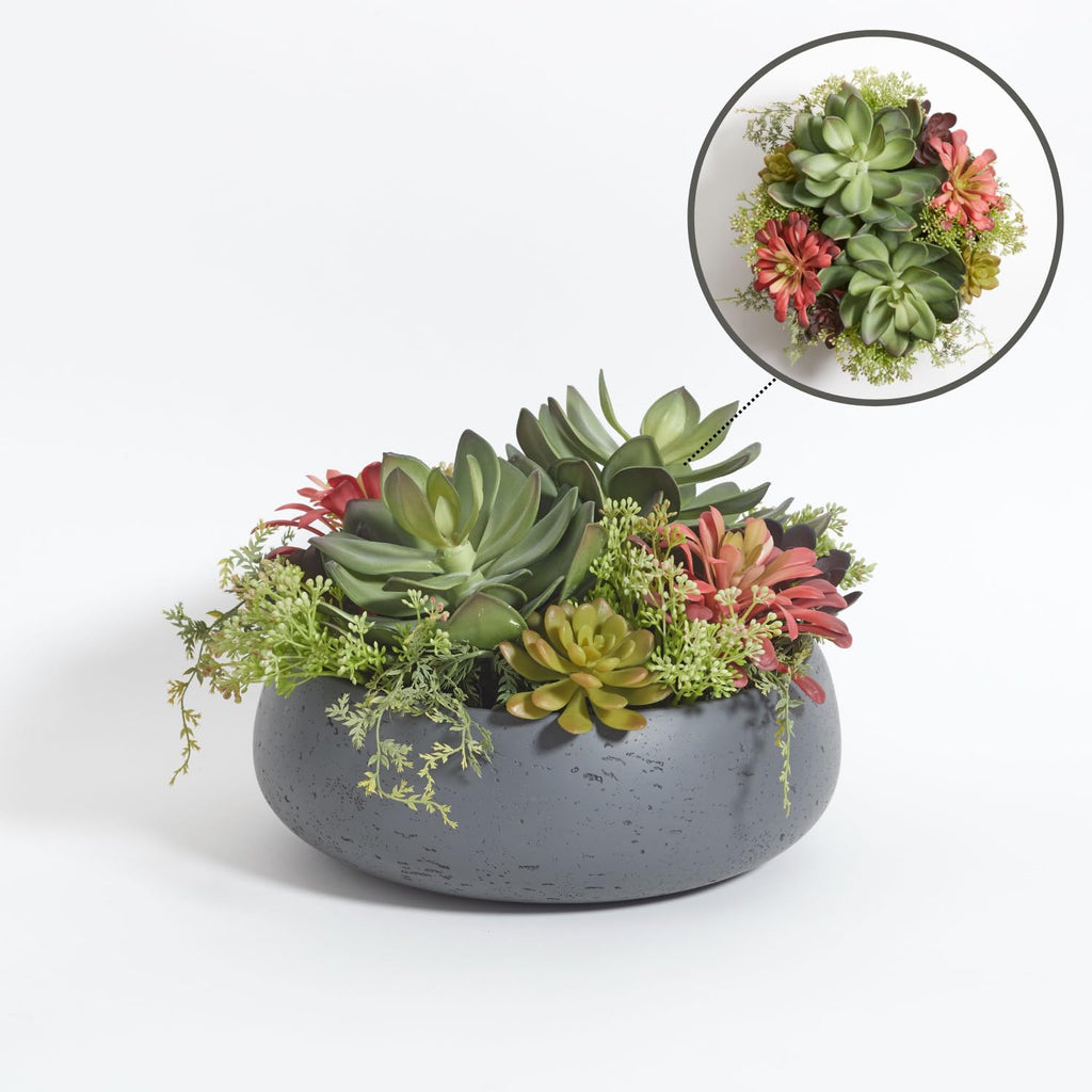Faux Succulent Arrangement, Grey, Home Decor
