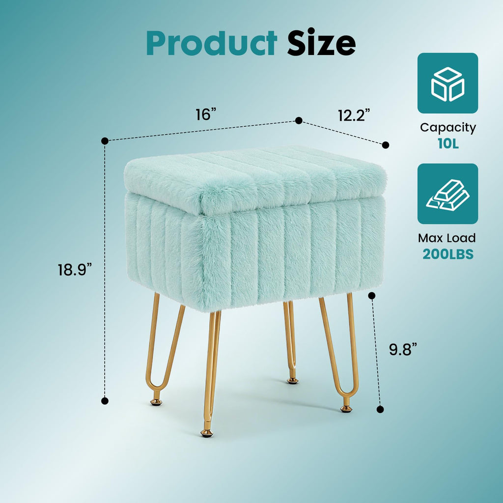 Vanity Stool Chair, Ottoman with Storage