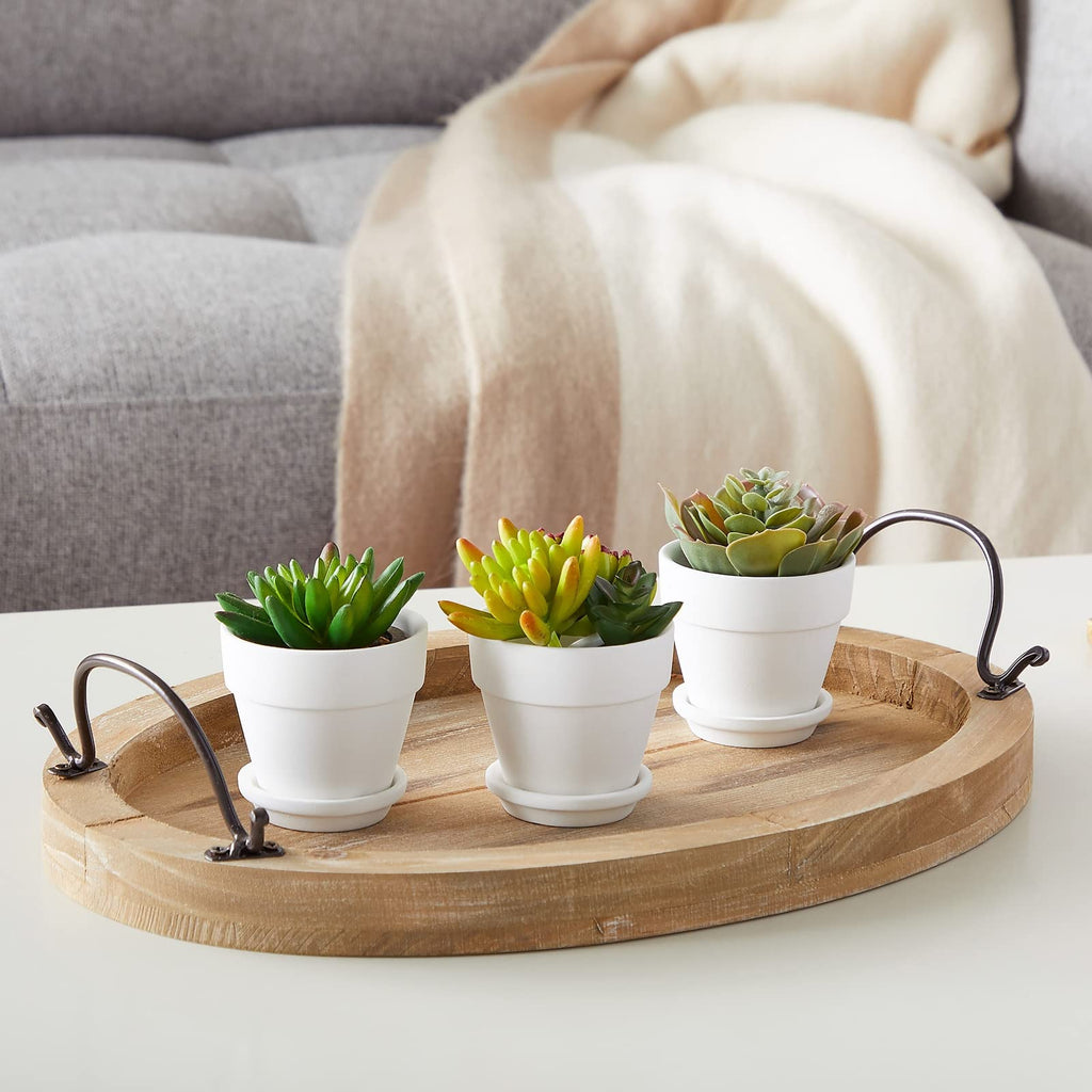 Mini Terracotta Pots - Pot with Drainage Hole - Versatile Succulent & Herb Planter - Paintable White Planter for