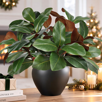 6 Pcs Faux Magnolia Stems, 22 Inch Artificial Magnolia Leaves Branches Greenery Stems Pick Fake Magnolia Leaf Twigs