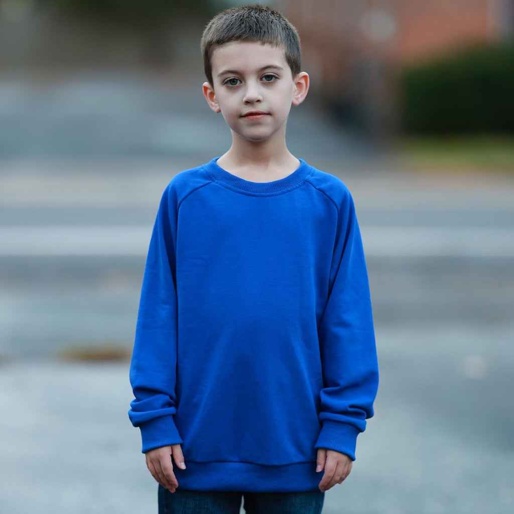 Boys Crewneck Sweatshirt, Cotton Long Sleeve Pullover