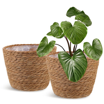 2Pcs Woven Plant Baskets with Liners Round Rattan Seagrass Planter