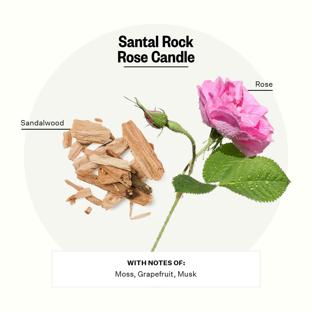 Signature 3 Wick Scented Candles, Santal Rock Rose - 26 Oz