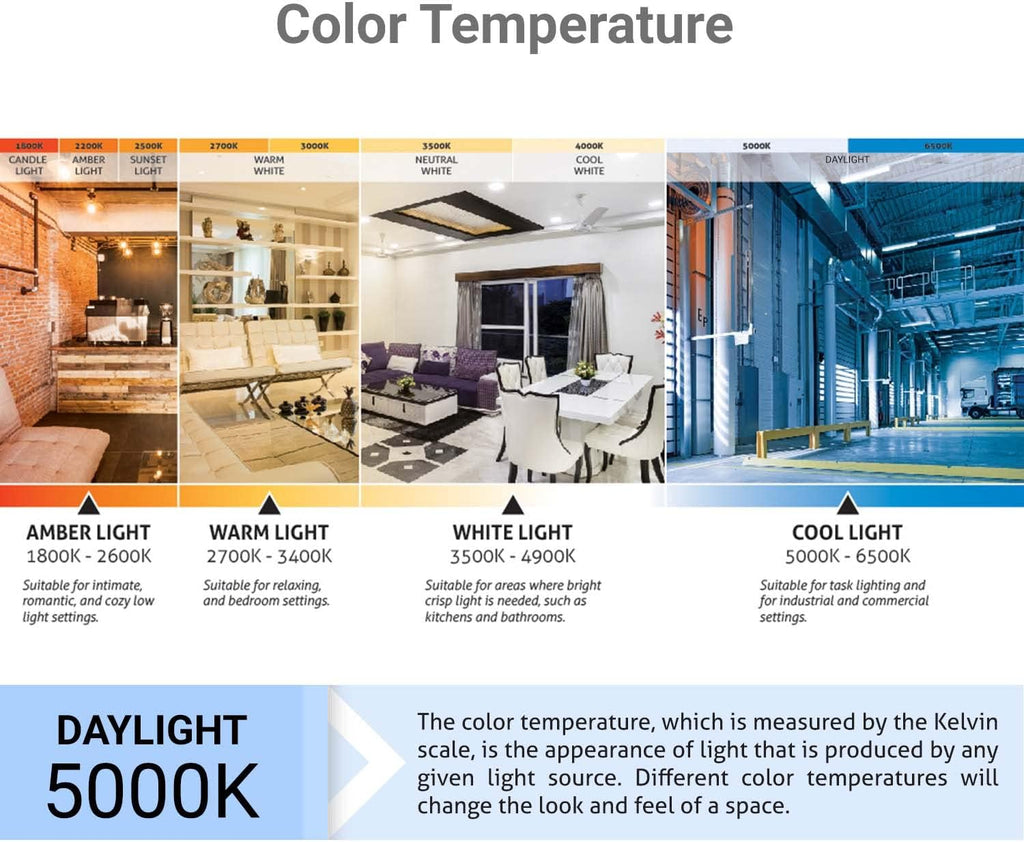 LED G25 Globe Light Bulb, 6 Watts (60W Equivalent), 120V, Medium E26 Base, 500 Lumens, Dimmable, Frosted, 90 CRI