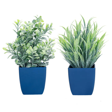 5 Pack Mini Artificial Plants in Ceramics Pots Home Decor Indoor, 2 Fake Mini Plant Green Boxwood Potted, 3 Grass Faux