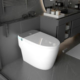 Auto Open/Close Lid Smart Toilet Bidet with Built-in Tank, Auto Flush & Wash, Elongated Heated Seat