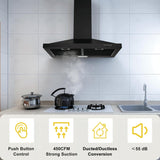 30 Inch Stainless Steel Wall Mount Range Hood LED Lights Convertible Ducted/Ductless