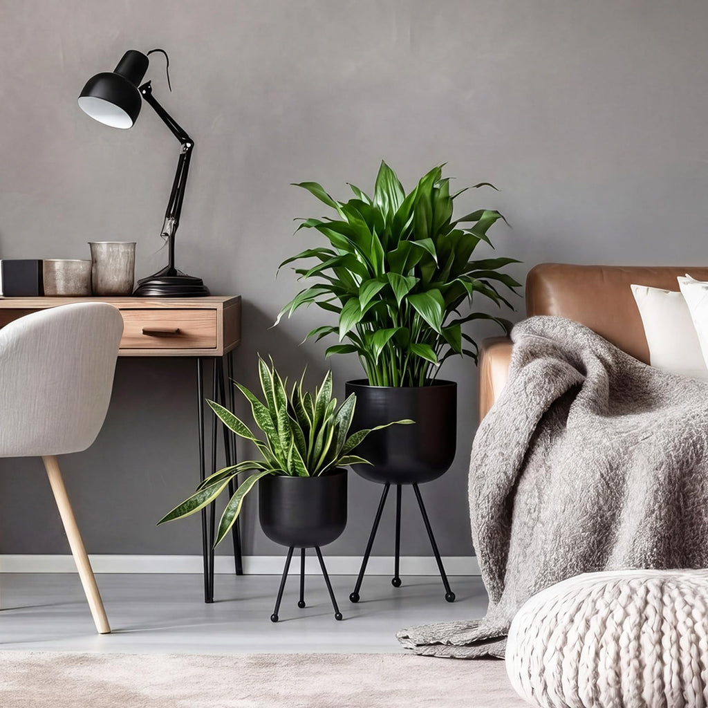 2 Pack Mid Century Modern Metal Planter with Stand, Black