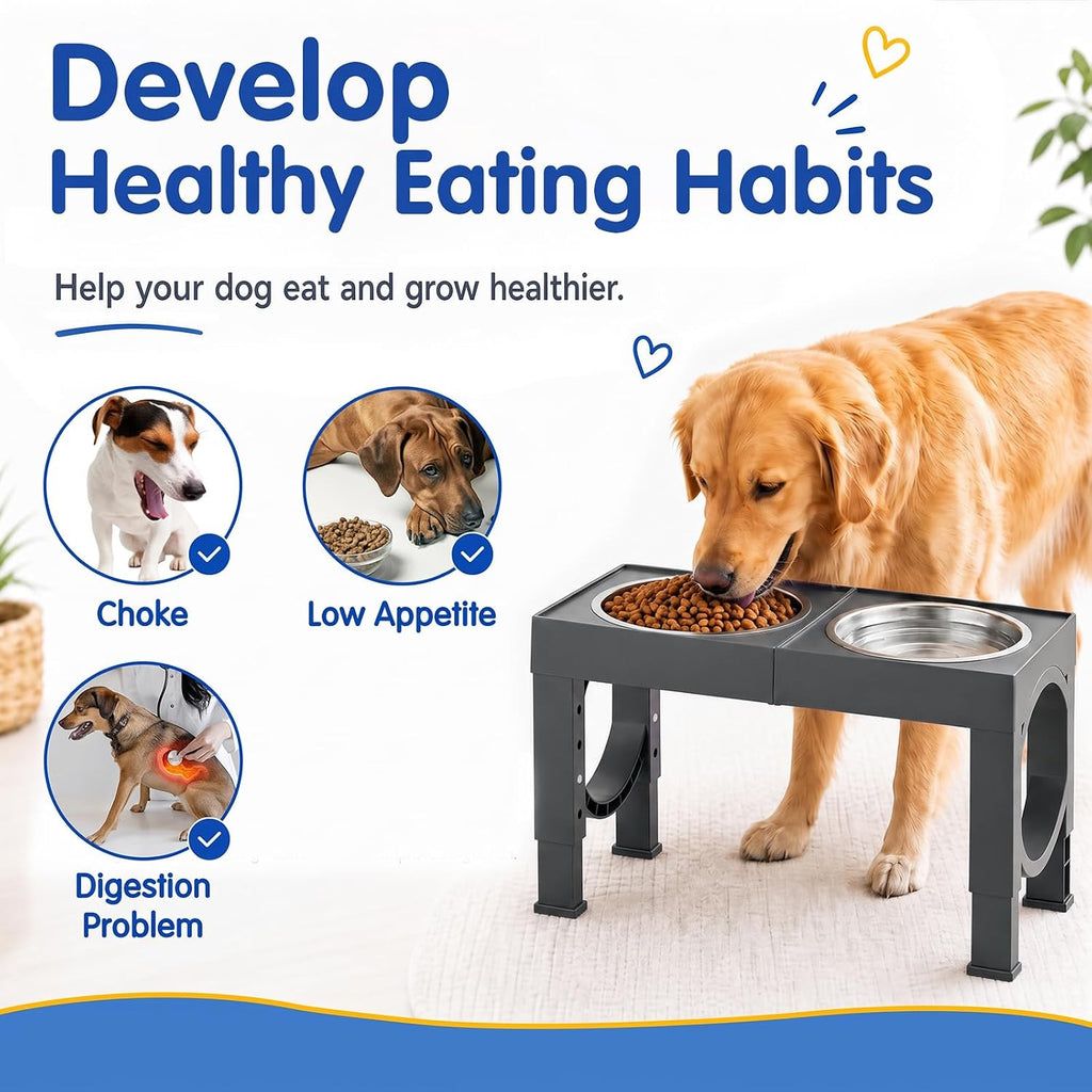 Elevated Dog Bowls Large Breed Raised Dogs Bowl Stand Large/Medium Sized Dog Stainless Steel Food Water Bowl Stands 5