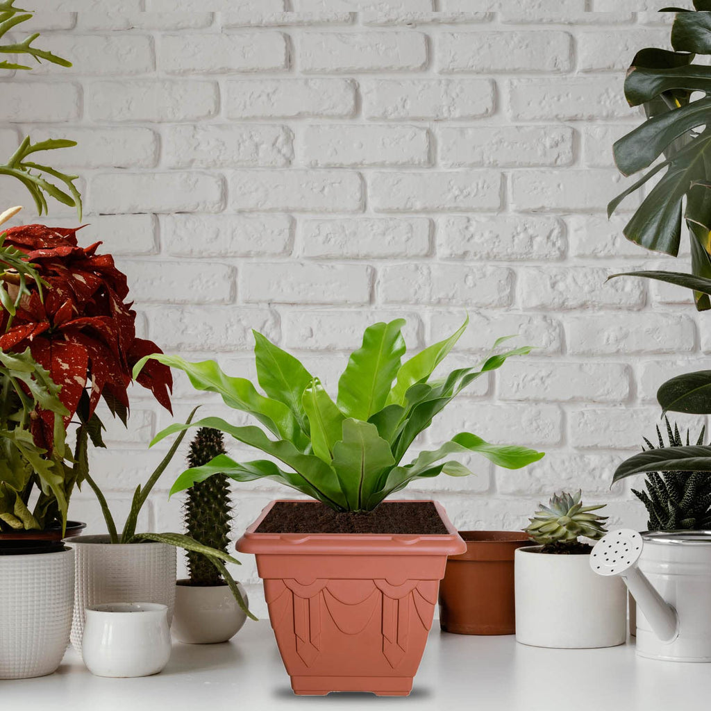 22cm Square Venetian Planter - Terracotta
