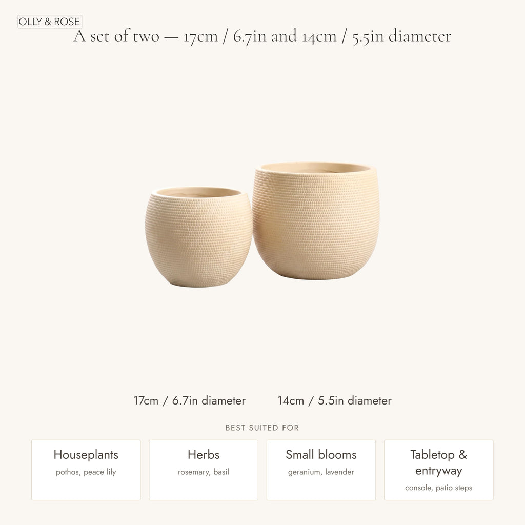 Barcelona Barcelona Ceramic Cement Plant Pot Set 2 - Beige Flower Pots - Indoor & Outdoor Planters