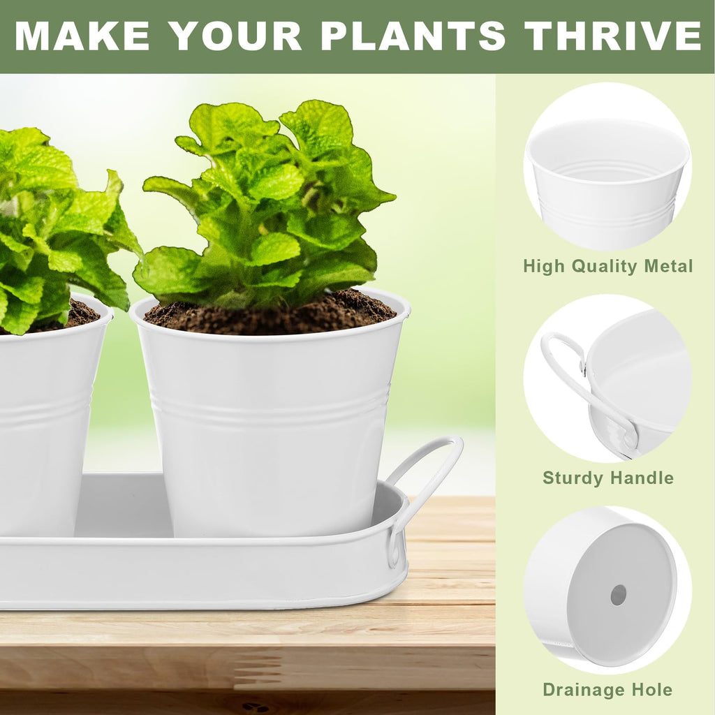 2 Sets Herb Planter with Tray Metal Herb Garden Planter with Drainage Farmhouse Windowsill Pots for Indoor Plants