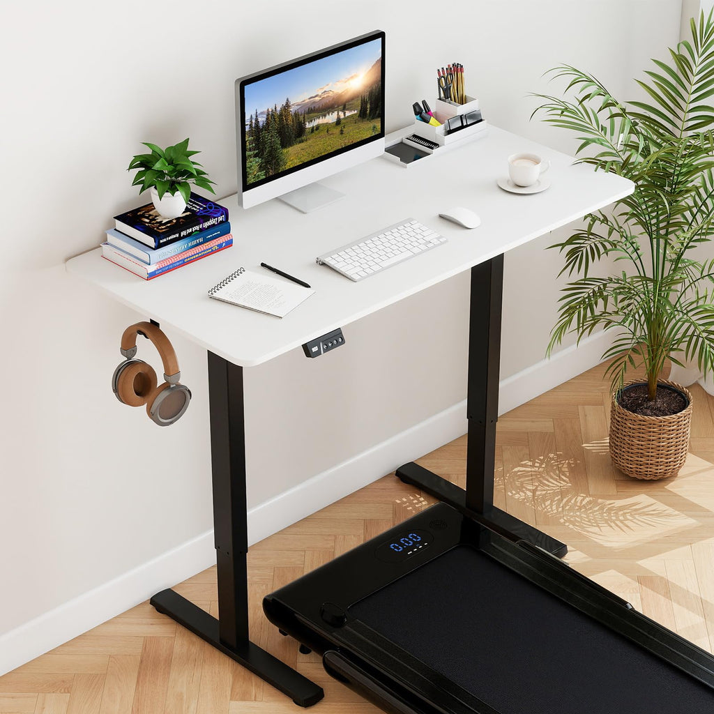 48" x 24" Electric Standing Desk, Ergonomic Height Adjustable Sit to Stand Desk with LED Display & 2 Memory Height