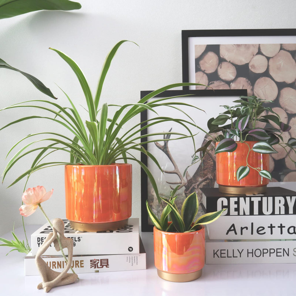 Ceramic Plant Pots for Indoor Plants, Planters with Drainage Holes