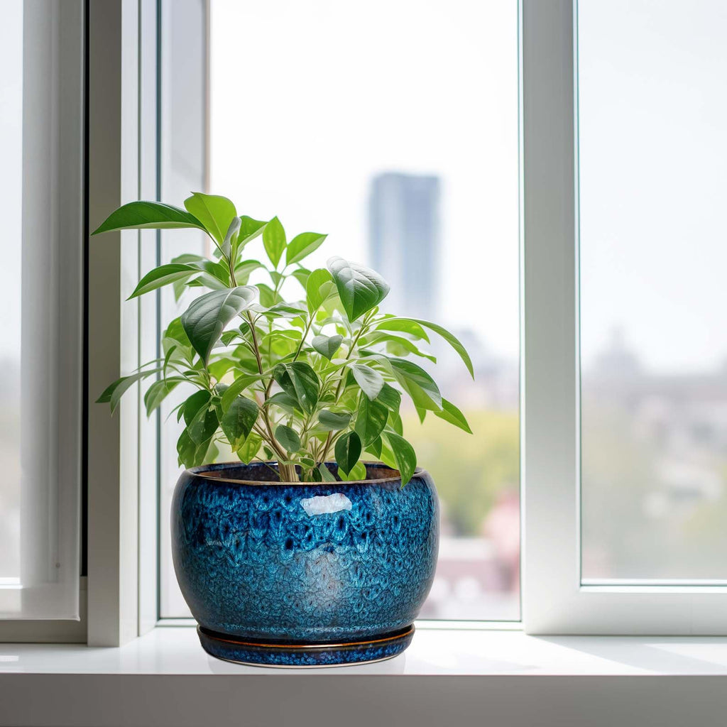 10 Inch Plant Pot - Ceramic Planter Pot with Drainage Hole and Saucer, Decorative Plant Pot for Indoor Outdoor