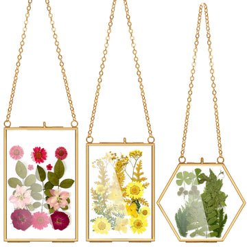 3 Pack Pressed Flowers Glass Frames, Brass Hanging Picture Frames with Chain, Small Golden Floating Photo Frame