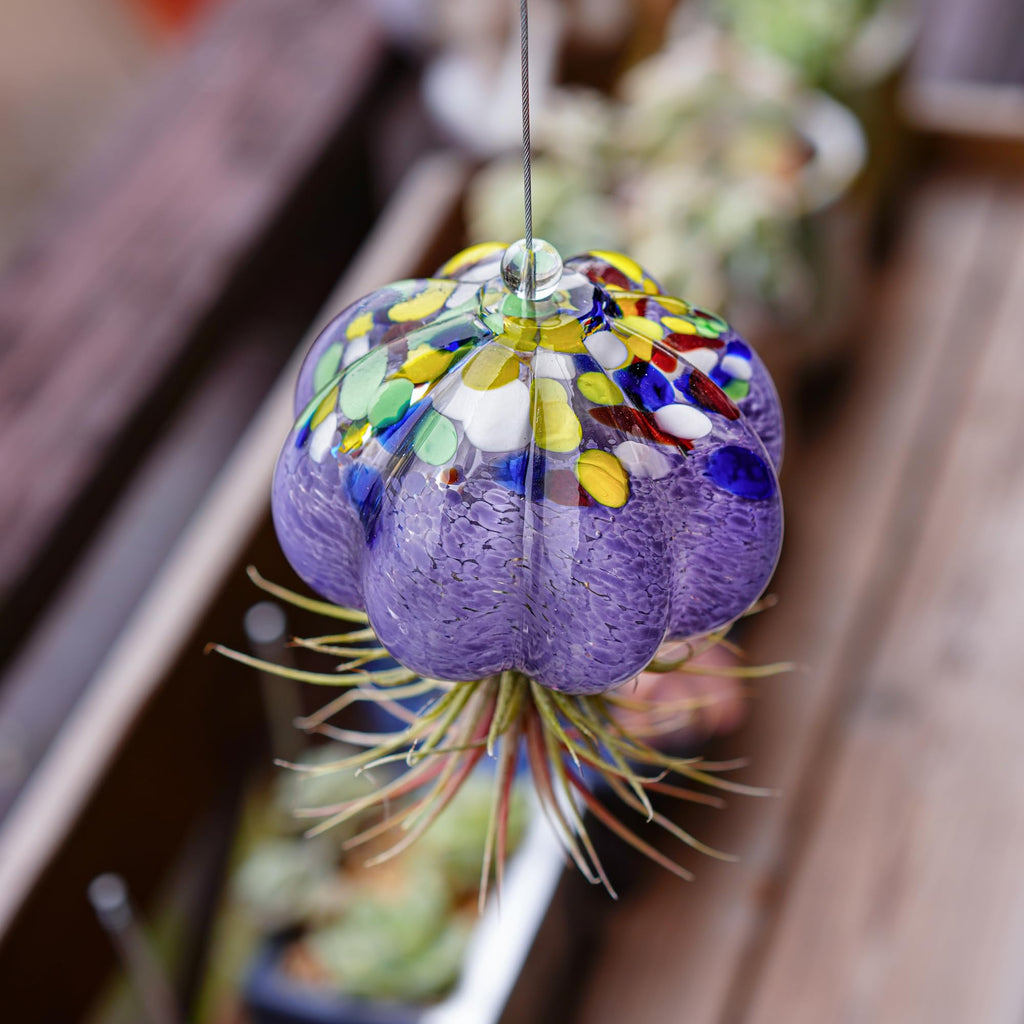 Hand Blown Glass Jellyfish Air Planter Hanging Garden Decor