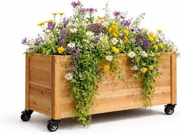 Tall Cedar Planter Box with Locking Wheels - Mobile Raised Garden Bed , Balcony & Business Entrances - Wooden Planter
