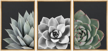 Framed Wall Art Print Set Desert Rose Echeveria Succulent Set Nature Plants Photography Modern Art Closeup Relax/Calm