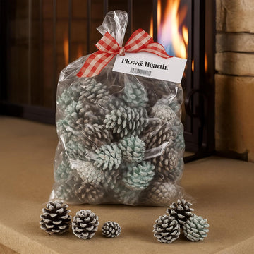Fireplace Color Cones, Festive Fun Rainbow Flame Changing Pine Cones, Firepit Campfire Hearth Wood Burning
