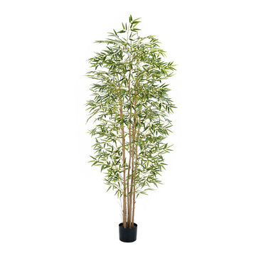 Artificial Bamboo Tree, Fake Bamboo Plant 7FT Tall with 6 Natural Real Bamboo Trunks, Artificial Tree Indoor Decor