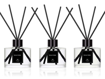 Reed Diffuser Set of 3 Air Fresheners, Oil Defusers Sticks | Cashmere & Vanilla, Lemon, Eucalyptus & Mint Scent(1.7 fl