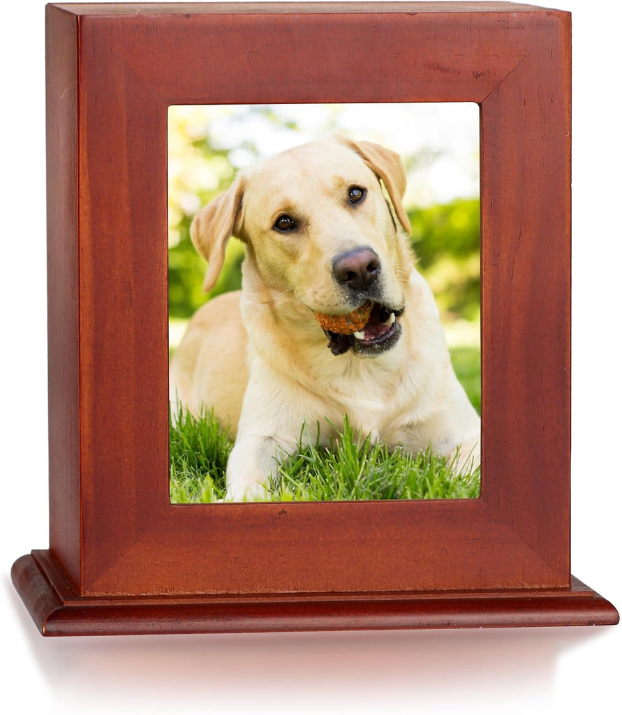 Pet Urn for Ashes with Photo Frame, Cremation Keepsake for Dogs