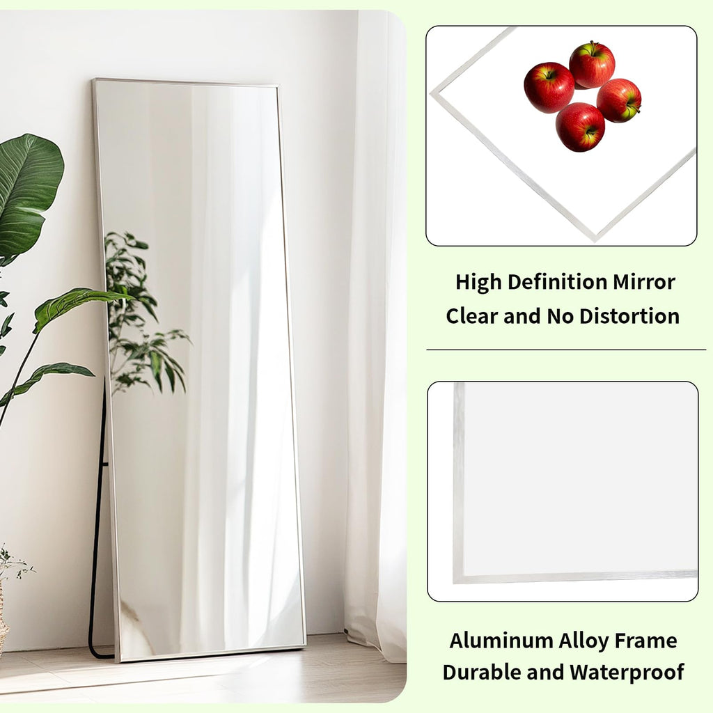 Full Body Mirror 56x16 inch, Silver Floor Length Mirror, Metal Frame