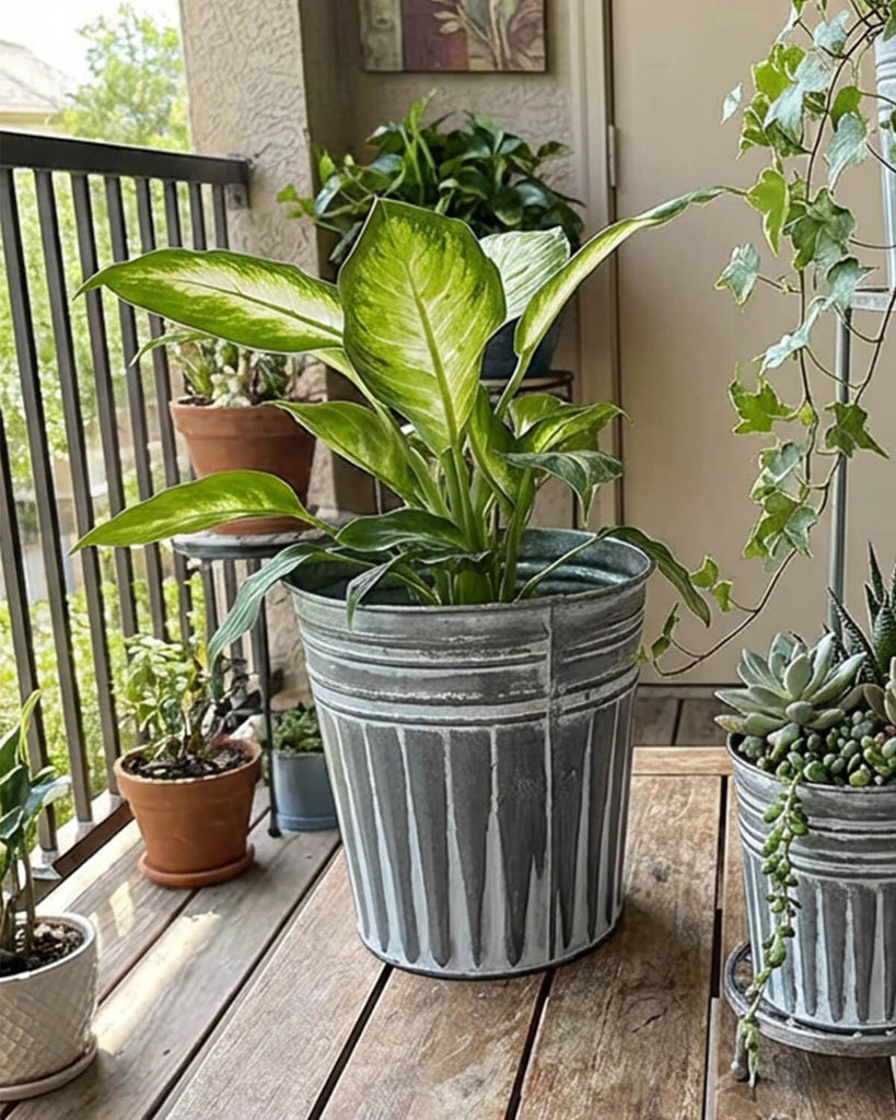 7 Inch Planters, 6 Pack Metal Flower Pots with Drain Hole